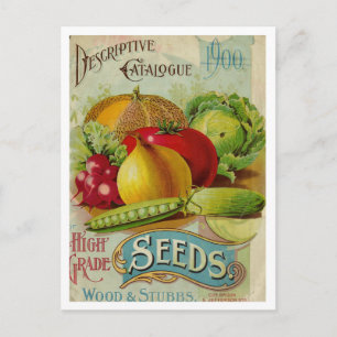 Vintage Seed Ad Postcard