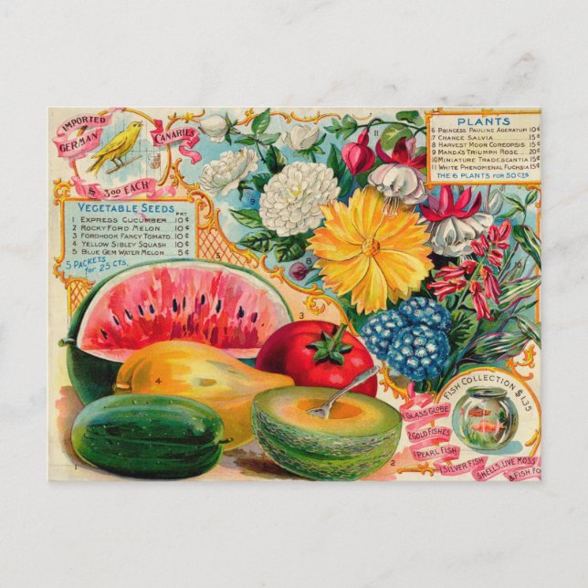 Vintage Seed Ad Postcard (Front)
