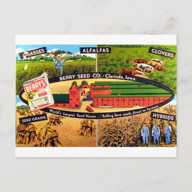 Vintage Seed Ad Postcard (Front)