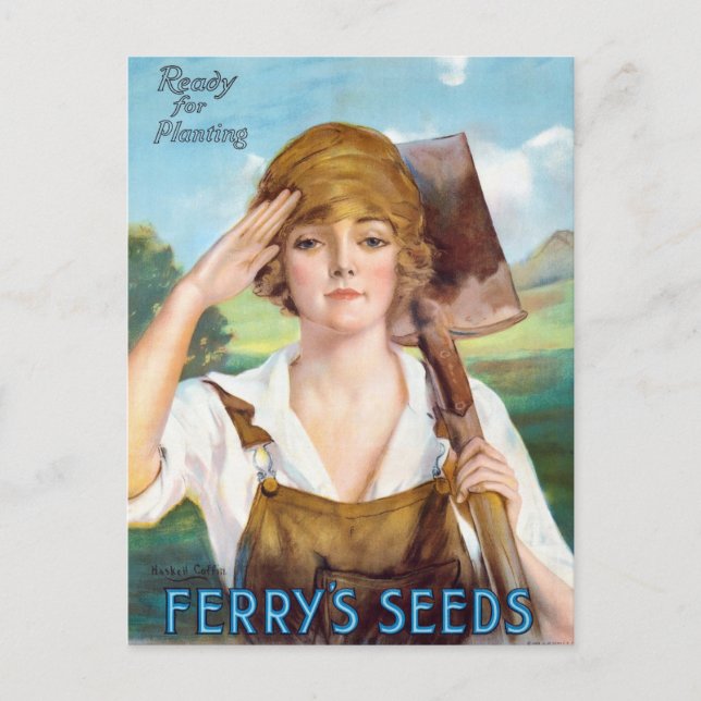 Vintage Seed Ad Postcard (Front)