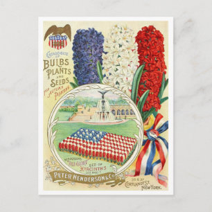 Vintage Seed Ad Postcard