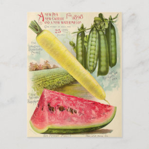 Vintage Seed Ad Postcard
