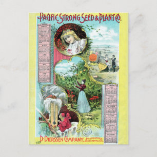 Vintage Seed Ad Postcard