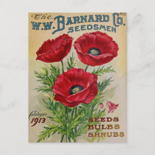 Vintage Seed Ad Postcard