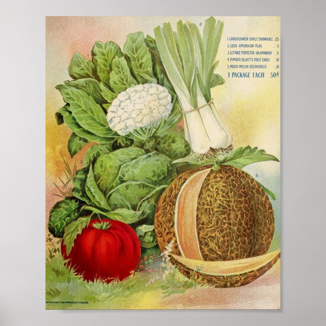 Vintage Seed Advertisement Poster (Front)