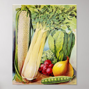 Vintage Seed Advertisement Poster