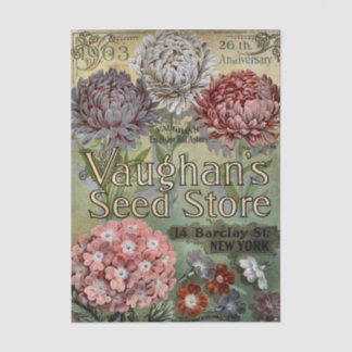 Vintage Seed Catalog, 1903, Vaughan's, Asters Tissue Paper