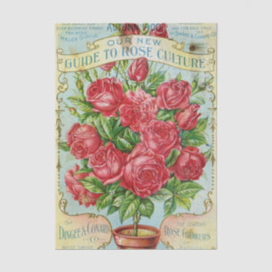 Vintage Seed Catalog Dingee & Conard Rose Culture Tissue Paper