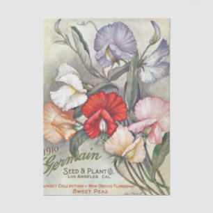 Vintage Seed Catalog Germain, 1910, Sweet Peas Tissue Paper