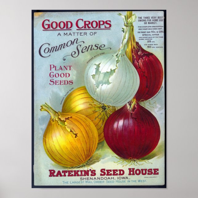 VINTAGE SEED CATALOG PRINT (Front)