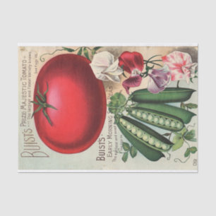Vintage Seed Catalogue Buist's Company Tissue Paper