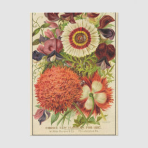 Vintage Seed Catalogue Burpee New Flowers 1887 Tissue Paper