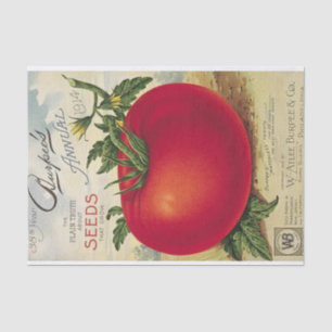 Vintage Seed Catalogue Burpee, Tomato, 1914 Tissue Paper