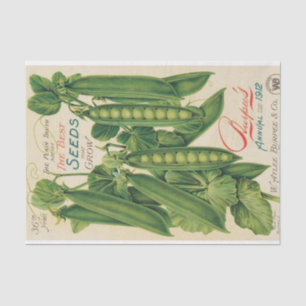 Vintage Seed Catalogue Burpee's 1912 Peas Tissue Paper