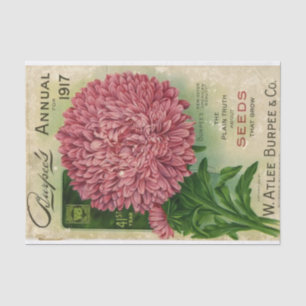 Vintage Seed Catalogue, Burpee's Annual 1917 Tissue Paper