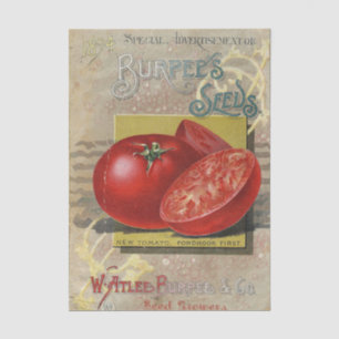 Vintage Seed Catalogue Burpee's Company 1894 Tissue Paper