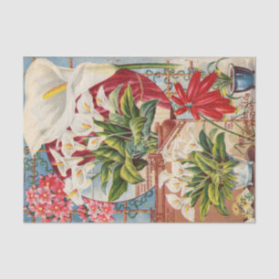 Vintage Seed Catalogue Callas and Hyacinths Tissue Paper