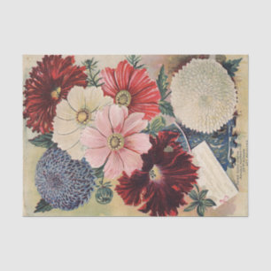 Vintage Seed Catalogue Cosmos, Petunias, Asters Tissue Paper