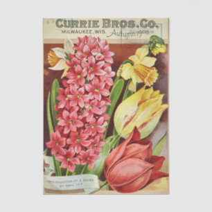 Vintage Seed Catalogue Currie Bros, 1906, Bulbs Tissue Paper
