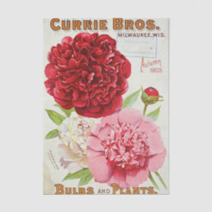 Vintage Seed Catalogue Currie Bros, Autumn 1903    Tissue Paper