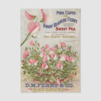 Vintage Seed Catalogue D.M. Ferry and Company