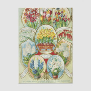 Vintage Seed Catalogue Dingee & Conard Flowers Bul Tissue Paper