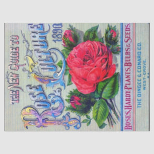 Vintage Seed Catalogue Dingee Conard Rose Culture Tissue Paper