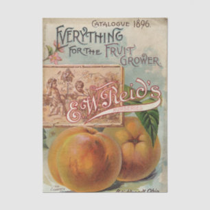 Vintage Seed Catalogue E.W. Reid, Fruit Grower, 18 Tissue Paper