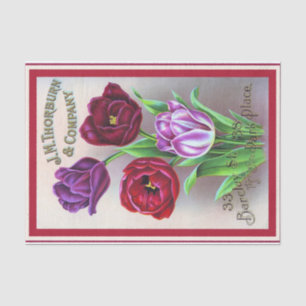 Vintage Seed Catalogue Flowers Tulips Thorburn Tissue Paper