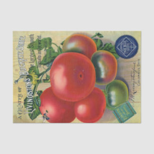 Vintage Seed Catalogue, Livingston's Buckeye State Tissue Paper