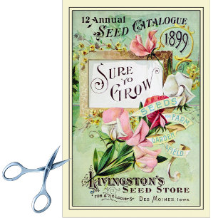 Vintage Seed Catalogue Livingston's Seed Store 189 Tissue Paper