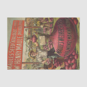 Vintage Seed Catalogue Maules 1888 Red Onions Tissue Paper