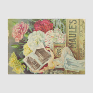 Vintage Seed Catalogue Maule's Carnations, 1900 Tissue Paper