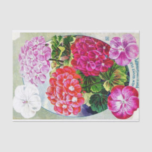 Vintage Seed Catalogue New Giant Geraniums Tissue Paper