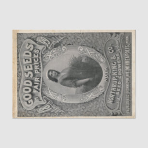 Vintage Seed Catalogue Northrup King Seed 1899 Tissue Paper