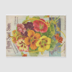 Vintage Seed Catalogue Perry Seed Store, 1896 Tissue Paper