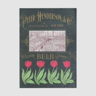 Vintage Seed Catalogue Peter Henderson, 1901, Bulb Tissue Paper