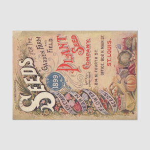 Vintage Seed Catalogue, Plant Seed Company, 1899 Tissue Paper