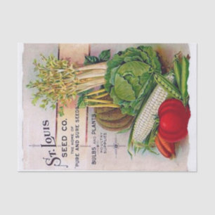 Vintage Seed Catalogue St. Louis Seed Company Tissue Paper