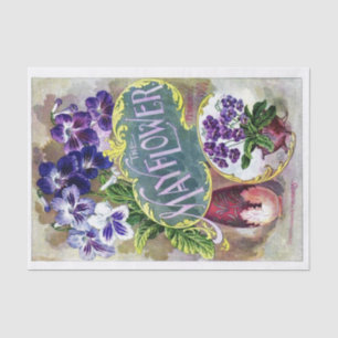 Vintage Seed Catalogue, The Mayflower Tissue Paper