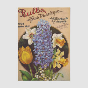 Vintage Seed Catalogue Thorburn Company, 1904 Tissue Paper