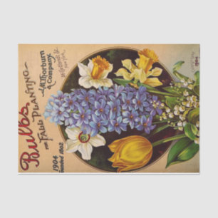 Vintage Seed Catalogue Thorburn Company, 1904 Tissue Paper