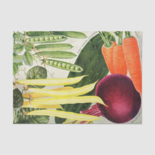 Vintage Seed Catalogue Vegetables Tissue Paper