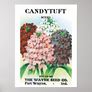 Vintage Seed Packet Art, Candytuft Garden Flowers Poster