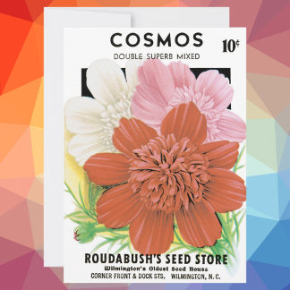 Vintage Seed Packet Art, Cosmos Garden Flowers