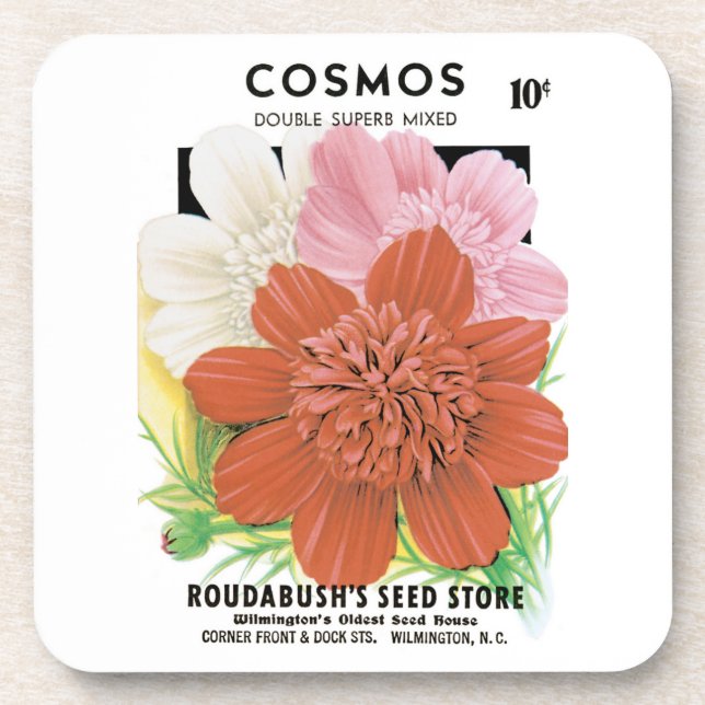 Vintage Seed Packet Art, Cosmos Garden Flowers Coaster (Front)