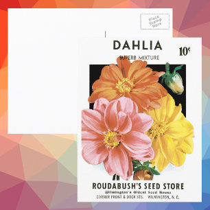 Vintage Seed Packet Art, Dahlia Garden Flowers Postcard