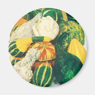 Vintage Seed Packet Art, Mixed Gourds Squash Magnet
