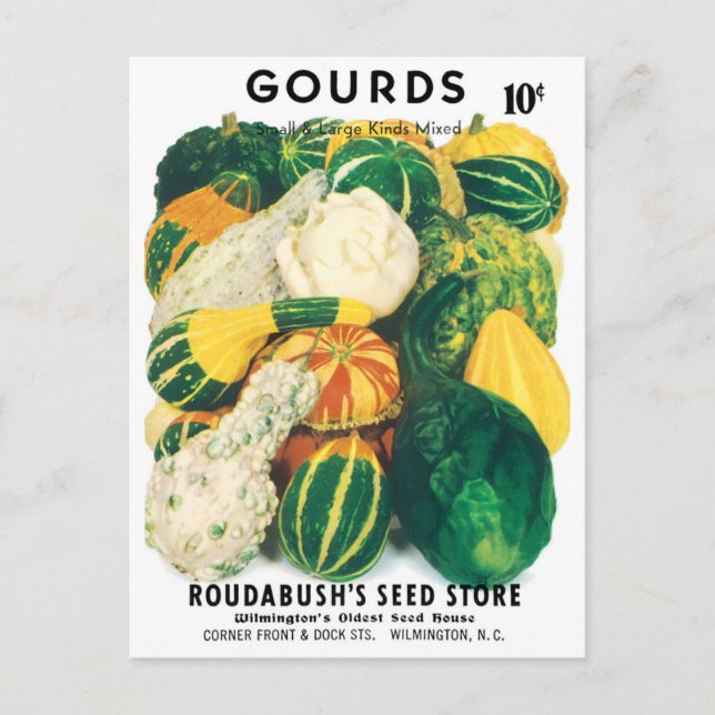 Vintage Seed Packet Art, Mixed Gourds Squash Postcard (Front)