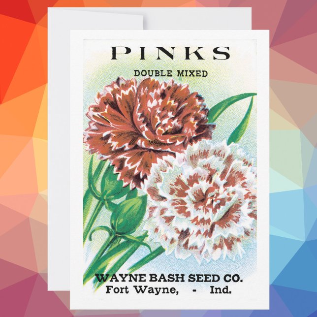 Vintage Seed Packet Art, Pinks Carnation Flowers (Creator Uploaded)